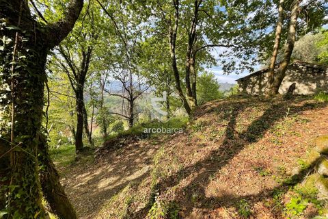 Byhus i Arcos de Valdevez, Viana do Castelo, Arcos de Valdevez - € 47.000 | Ref: AV6307 - foto 14