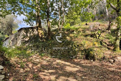 Byhus i Arcos de Valdevez, Viana do Castelo, Arcos de Valdevez - € 47.000 | Ref: AV6307 - foto 15