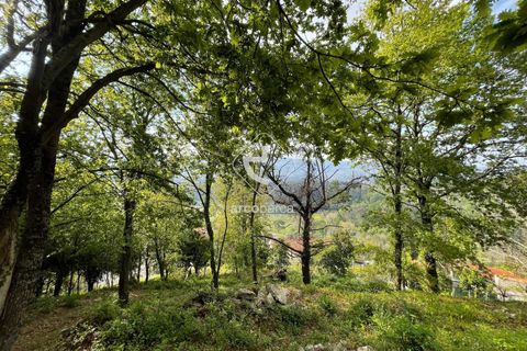 Byhus i Arcos de Valdevez, Viana do Castelo, Arcos de Valdevez - € 47.000 | Ref: AV6307 - foto 16