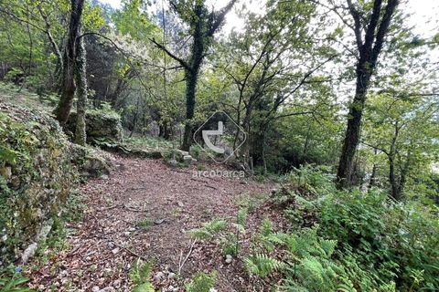 Byhus i Arcos de Valdevez, Viana do Castelo, Arcos de Valdevez - € 47.000 | Ref: AV6307 - foto 19