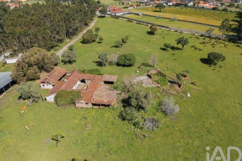 Terra a Leiria, Leiria, Leiria - € 1.080.000 | Ref: 140280 - foto 2