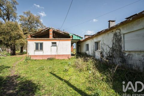 Terra a Leiria, Leiria, Leiria - € 1.080.000 | Ref: 140280 - foto 4