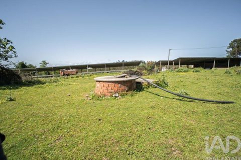 Terra a Leiria, Leiria, Leiria - € 1.080.000 | Ref: 140280 - foto 6