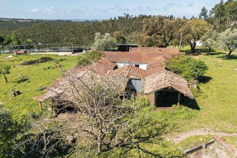 Terra a Leiria, Leiria, Leiria - € 1.080.000 | Ref: 140280 - foto 7