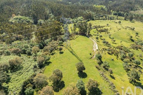 Terra a Leiria, Leiria, Leiria - € 1.080.000 | Ref: 140280 - foto 8