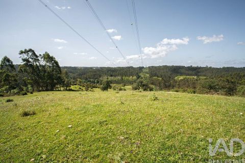 Terra a Leiria, Leiria, Leiria - € 1.080.000 | Ref: 140280 - foto 9