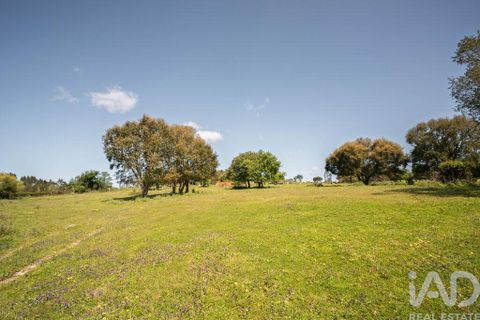 Terra a Leiria, Leiria, Leiria - € 1.080.000 | Ref: 140280 - foto 11