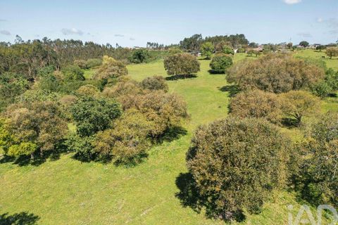Terra a Leiria, Leiria, Leiria - € 1.080.000 | Ref: 140280 - foto 12