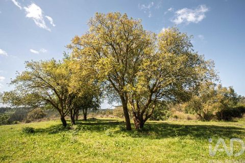 Terra a Leiria, Leiria, Leiria - € 1.080.000 | Ref: 140280 - foto 13