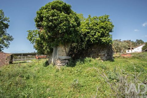 Terra a Leiria, Leiria, Leiria - € 1.080.000 | Ref: 140280 - foto 14