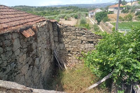 Byhus i Mirandela, Braganca, Mirandela - € 52.000 | Ref: 318240241 - foto 7
