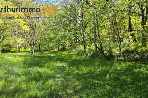 Villa a Puivert, Aude, Puivert - € 360.000 | Ref: 85901025 - foto 7