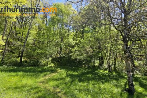 Villa a Puivert, Aude, Puivert - € 360.000 | Ref: 85901025 - foto 17