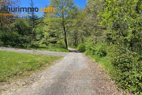 Villa a Puivert, Aude, Puivert - € 360.000 | Ref: 85901025 - foto 18