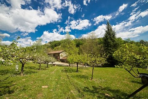 Villa a Tarzo, Treviso, Tarzo - € 470.000 | Ref: MD 050 LL - foto 17