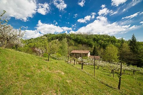 Villa a Tarzo, Treviso, Tarzo - € 470.000 | Ref: MD 050 LL - foto 26
