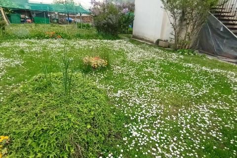 Villa a Tarzo, Treviso, Tarzo - € 270.000 | Ref: MD 147 LL - foto 18