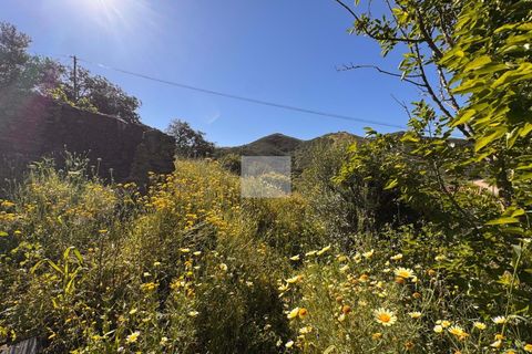 Farm hus i Silves, Faro, Silves - € 389.000 | Ref: 1774 - foto 26