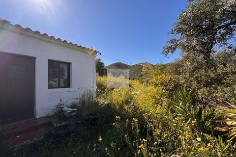 Farm hus i Silves, Faro, Silves - € 389.000 | Ref: 1774 - foto 27