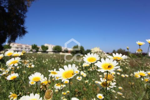 Villa i Alcochete, Setubal, Alcochete - € 650.000 | Ref: 363/M/00968 - foto 8
