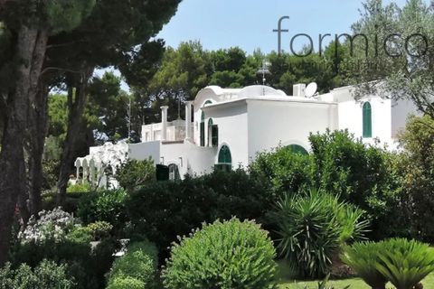 Villa a Capri, Naples, Capri - € 3.300.000 | Ref: 00134 - foto 26