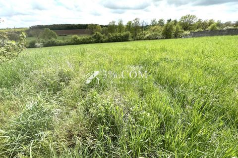 Terra a Maixe, Meurthe-et-Moselle, Maixe - € 63.000 | Ref: 374_1382 - foto 2