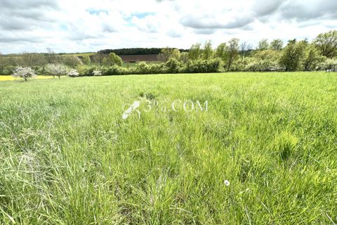 Terra a Maixe, Meurthe-et-Moselle, Maixe - € 63.000 | Ref: 374_1382 - foto 3
