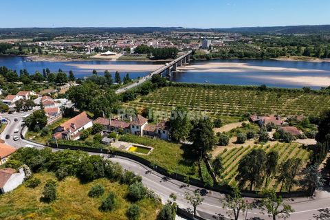 Helårsgrund i Abrantes, Santarem, Abrantes - € 110.000 | Ref: 01511-25 - foto 10