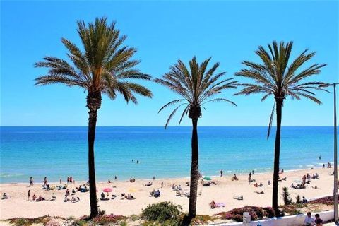 Villa en Pilar de la Horadada, Alicante, Pilar de la Horadada - € 398.300 | Ref: DL-223-DETACHED-VV - photo 12