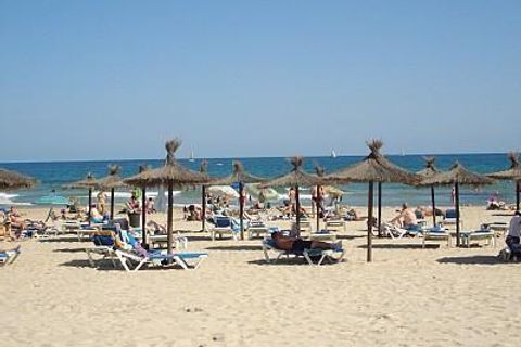 Villa en Pilar de la Horadada, Alicante, Pilar de la Horadada - € 398.300 | Ref: DL-223-DETACHED-VV - photo 14