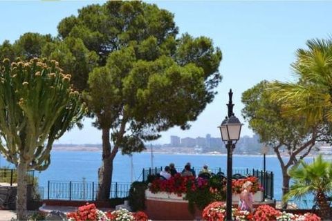 Villa en Pilar de la Horadada, Alicante, Pilar de la Horadada - € 398.300 | Ref: DL-223-DETACHED-VV - photo 15