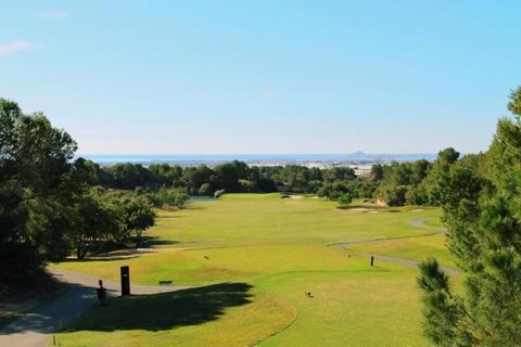 Villa en Pilar de la Horadada, Alicante, Pilar de la Horadada - € 398.300 | Ref: DL-223-DETACHED-VV - photo 24