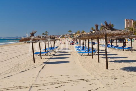 Villa en Pilar de la Horadada, Alicante, Pilar de la Horadada - € 398.300 | Ref: DL-223-DETACHED-VV - photo 25