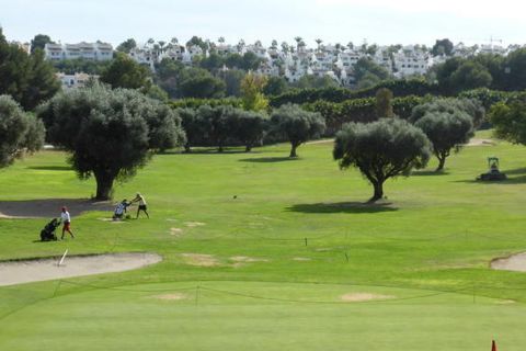 Villa en Pilar de la Horadada, Alicante, Pilar de la Horadada - € 398.300 | Ref: DL-223-DETACHED-VV - photo 26