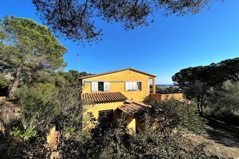 Landejendom i Palamos, Gerona, Palamos - € 995.000 | Ref: 108V - foto 6