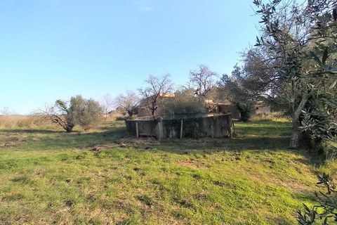 Landejendom i Palamos, Gerona, Palamos - € 995.000 | Ref: 108V - foto 41