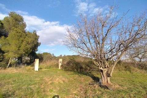 Landejendom i Palamos, Gerona, Palamos - € 995.000 | Ref: 108V - foto 44
