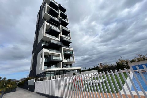 Apartment in Calpe, Alicante - photo 2