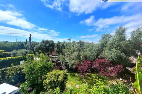 Villa i Pietrasanta, Lucca, Pietrasanta - € 540.000 | Ref: fdm527 - foto 27