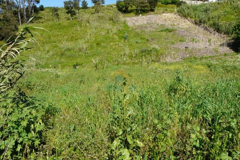 Helårsgrund i Mafra, Lisbon, Mafra - € 125.000 | Ref: 737T - foto 5