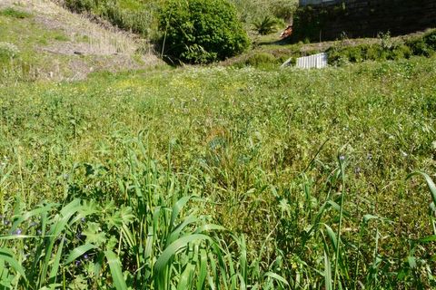 Helårsgrund i Mafra, Lisbon, Mafra - € 125.000 | Ref: 737T - foto 3