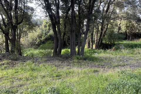 Helårsgrund i Barbaggio, Haute-Corse, Barbaggio - € 220.000 | Ref: 2153 - foto 2