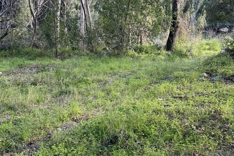 Helårsgrund i Barbaggio, Haute-Corse, Barbaggio - € 220.000 | Ref: 2153 - foto 3