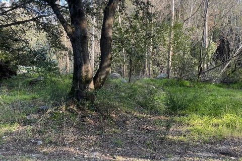 Helårsgrund i Barbaggio, Haute-Corse, Barbaggio - € 220.000 | Ref: 2153 - foto 4