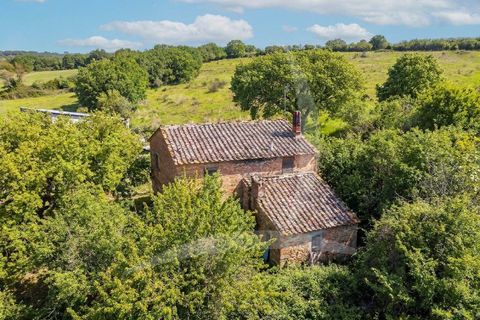 Farm hus i Pienza, Siena, Pienza - € 690.000 | Ref: a1190rc48150 - foto 4