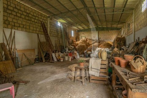 Farm hus i Pienza, Siena, Pienza - € 690.000 | Ref: a1190rc48150 - foto 28