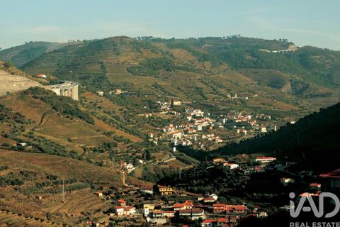 Byhus i Peso da Regua, Vila Real, Peso da Regua - € 975.000 | Ref: 62040 - foto 19