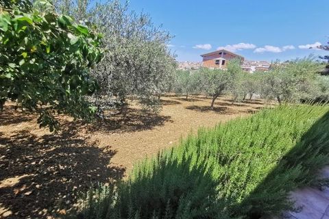 Villa a Cianciana, Agrigento, Cianciana - € 280.000 | Ref: House Guida - foto 20