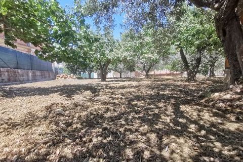 Villa a Cianciana, Agrigento, Cianciana - € 280.000 | Ref: House Guida - foto 13