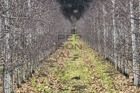 Terra a Dro, Trento, Dro - € 142.000 | Ref: T-AG-024 - foto 2